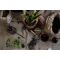 Accessori per il Giardinaggio: Tutto il Necessario per i Lavori di Aprile