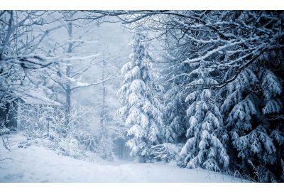 Natale a tutto outdoor: cosa regalare agli appassionati della montagna in inverno