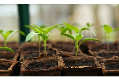 Aprile: il mese perfetto per il giardinaggio grazie ai prodotti giusti